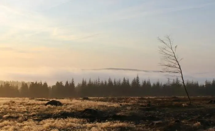 Haus Ruhrkopfblick Apartment