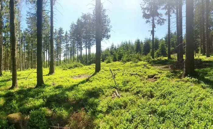 Haus Ruhrkopfblick *